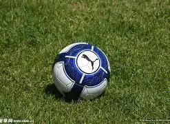 开拓者常规,赛遗憾负于,公牛,FB体育平台,FB体育官方网站,FB体育登录入口,FB体育app下载