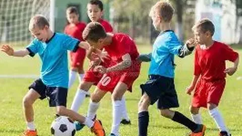 2025 NBL全明星赛南区称霸，慈善激情两不误